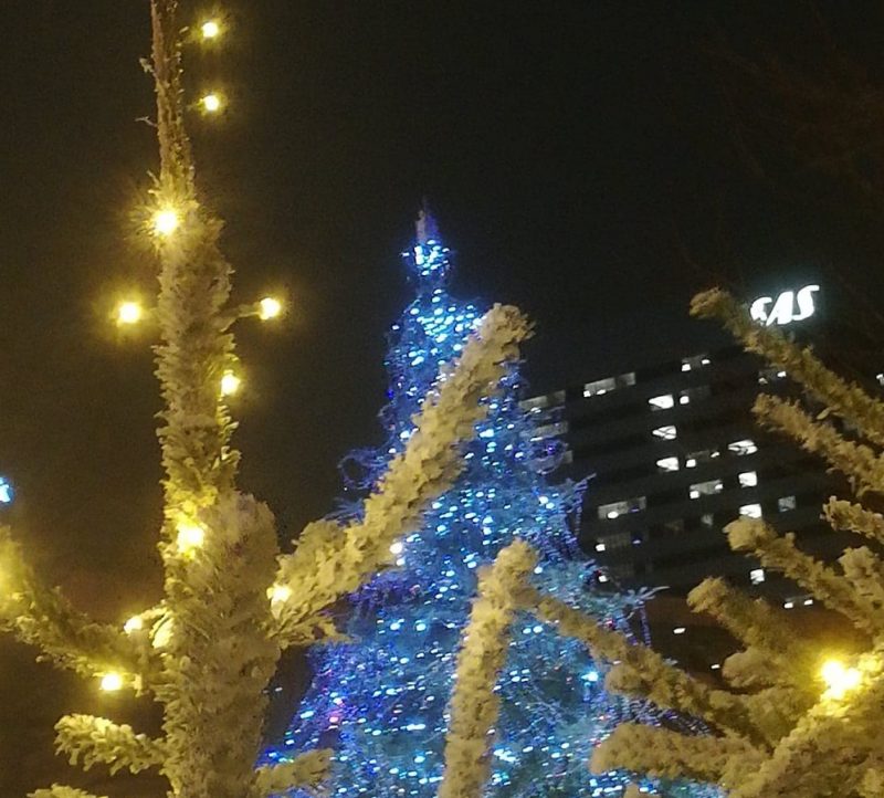 Juletræ i Tivoli